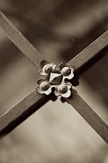 Wall_Art_Alphabet_Photography_Art_ 2496